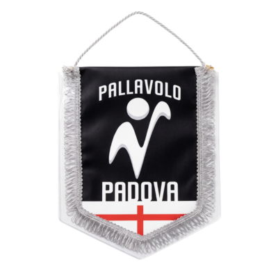 Gagliardetto/Pennant