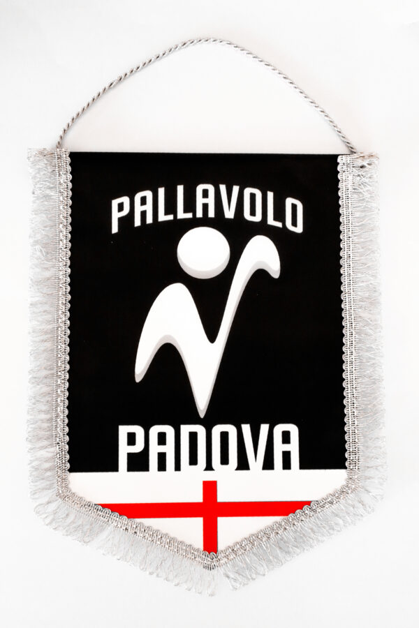 Gagliardetto/Pennant