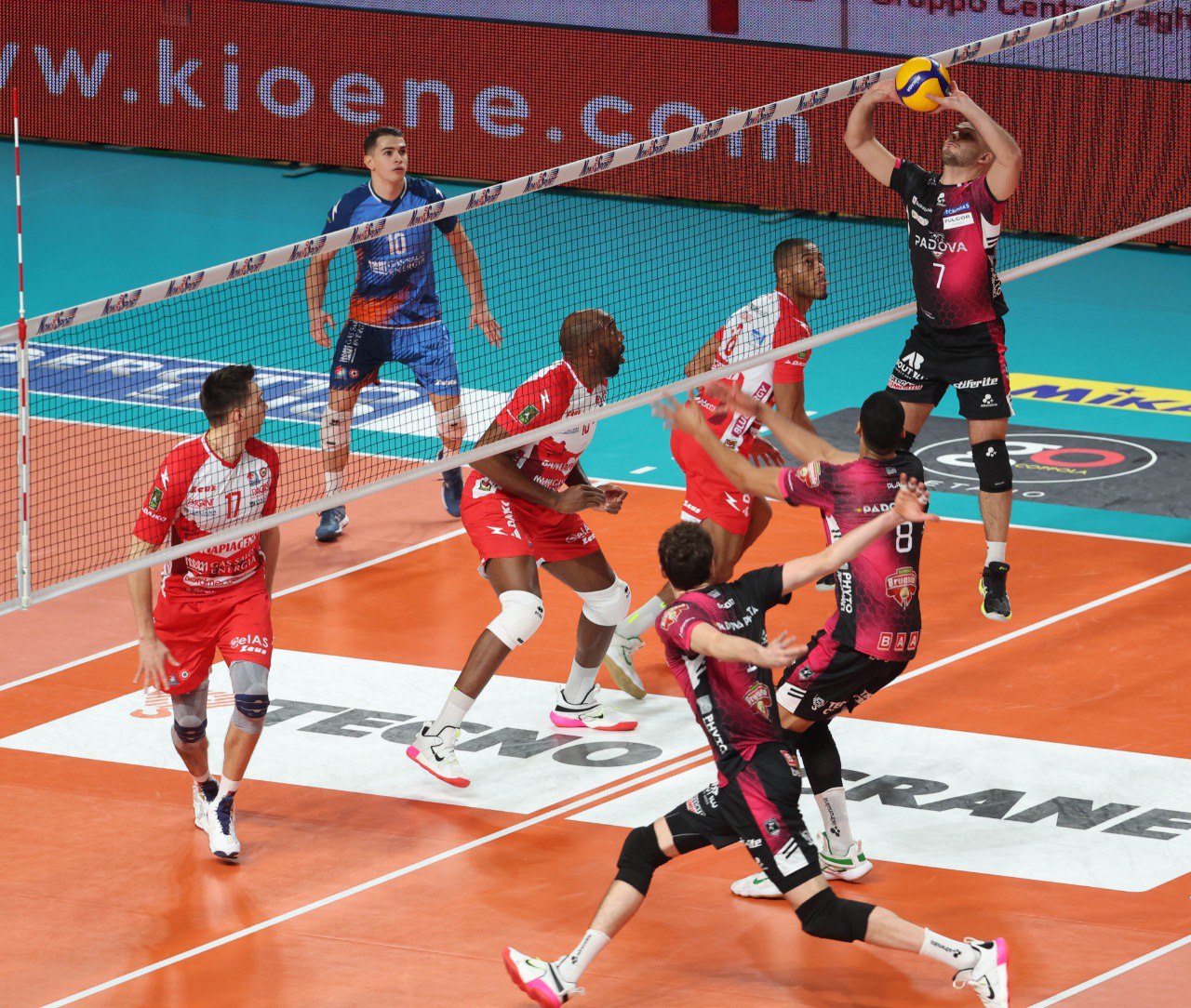 Pallavolo Padova Gas Sales Bluenergy Piacenza 13 Pallavolo Padova